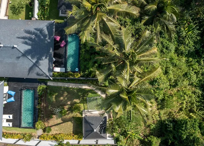 Capung Asri Eco Luxury With Private Pool Bedulu